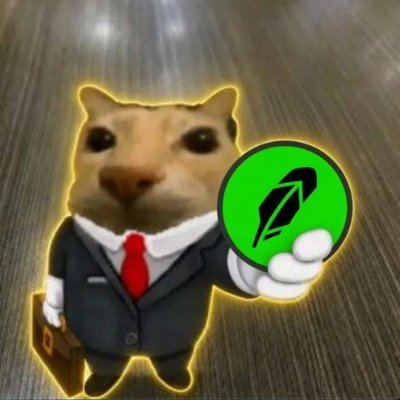 Business Cat in a suit holding the green Robinhood coin with a briefcase